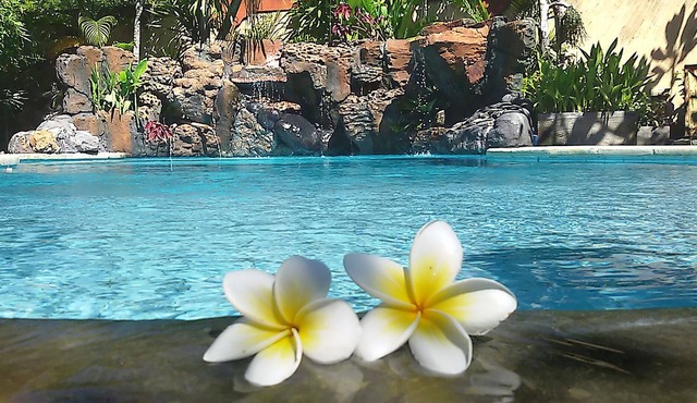 Bali, villa with stunning sea views (500m); services and staff included