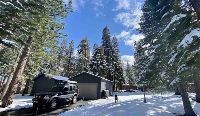 Base Camp Kiowa: cozy, dog-friendly, modern mountain cabin