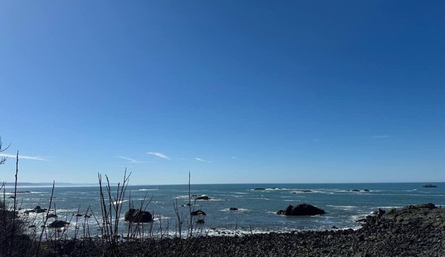 Beachs` 1177