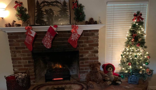 Bear Hollow — Sequoia's Best — All Bears Agree!