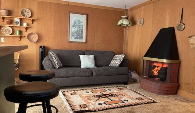 Bear Valley Village Family Ski Condo. Pet Friendly Permit # 2025004