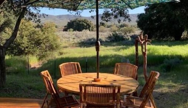 Bluebird Tiny House Forest Retreat