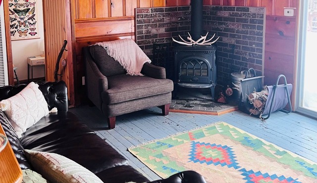 Cabin Sweet Cabin, near the lake - pet friendly!