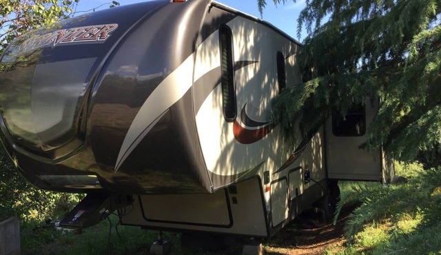 Camper at the Sequoia Forest Retreat