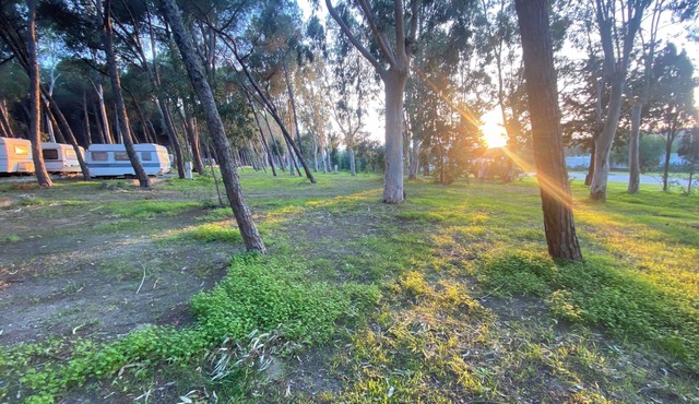 Camping surrounded by nature within walking distance from the sea