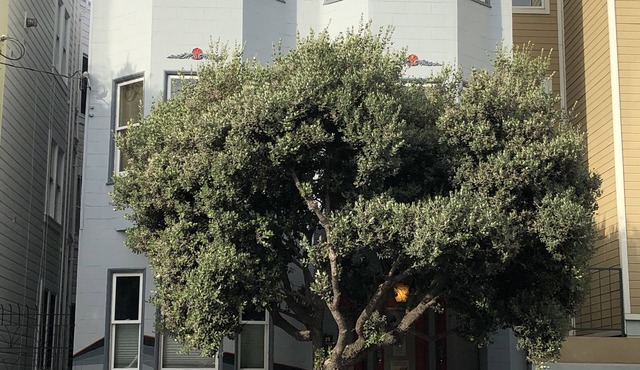 Centrally located: restaurants, shopping, transport, convenience, walking