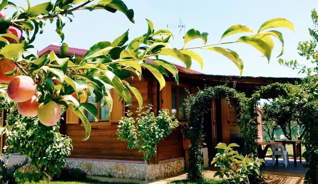 Chalet dei Melograni - Sea, mountains, relaxation, privacy, at your fingertips.