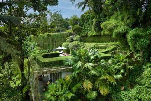 Chameleon Villa Bali
