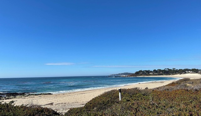 Charming 3-bedroom house in wonderful Carmel-by-the-Sea with WiFi