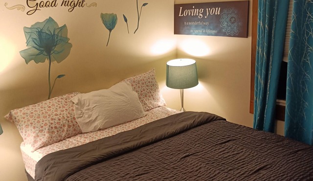 Charming -Clean-4-bedroom house with AC and WiFi in wonderful Springfield in Springfield