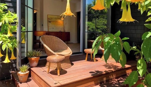 Classic Bright Modern Spacious 1bd/1ba Apartment in Berkeley