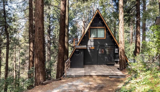 Cozy A-Frame High in The Tree Tops