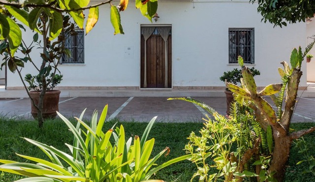 Cozy abode surrounded by greenery, just 10 minutes from the sea