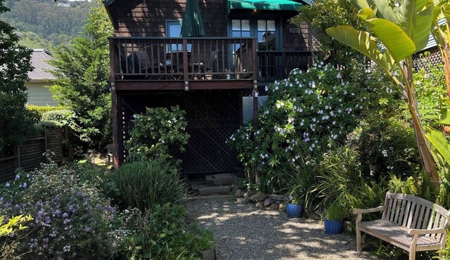 Cozy quiet & relaxing hide-a-way in the heart of Sausalito's ‘Hurricane Gulch.’