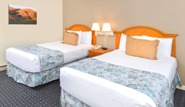 Danish Experience! 4 Spacious Units, Outdoor Pool & Parking, See Succulent Cafe!
