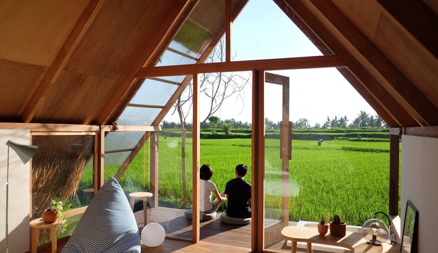 Designer Bamboo A-Frame Hut Amidst Ubud Rice Fields