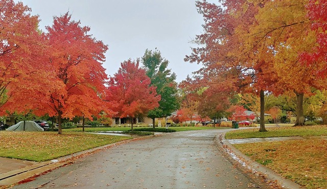 Discover Prestigious Arden Park House River