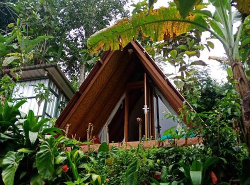 ECO Bedugul adventurer camp