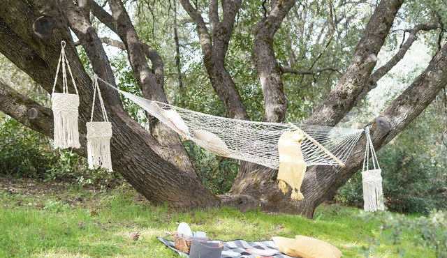Experience Luxury: 3000 Sq. Ft. Retreat with Private Dog Park near Yosemite!