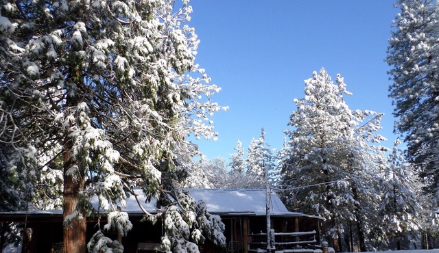 Family friendly house (cabin) 20 minutes from Kings Canyon, pets welcome!