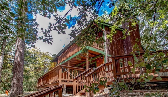 Family Treehouse: Perfect Location * A/C * Fire Pit* Dogs * WiFi