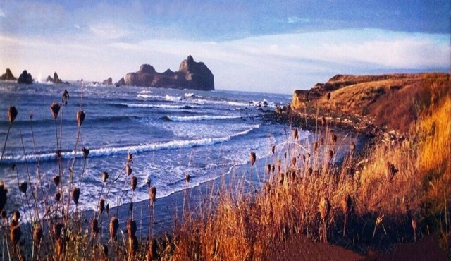 Footsteps to Pebble Beach & Short Drive to Redwoods