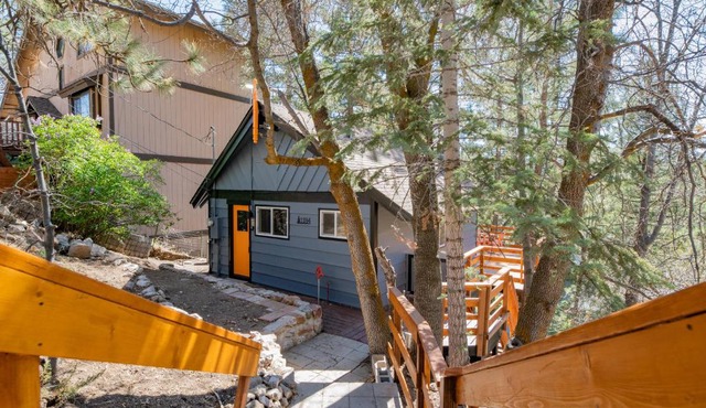 Forest Escape - Situated on the quiet side of the lake, nicely decorated contemporary cabin!