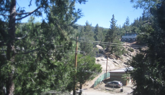 Getaway in the pine scented forest
