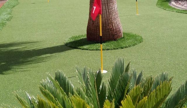 Golf, Game Room, Dining Area, Two Living Rooms, 2500 sq2, 4 Beds, 3 Full Bath