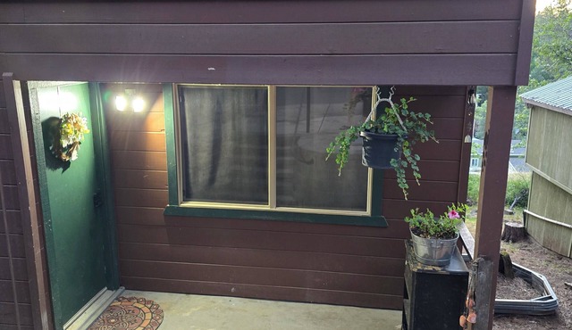 Humans and fur babies welcome in this cozy studio with EV/Tesla charger.