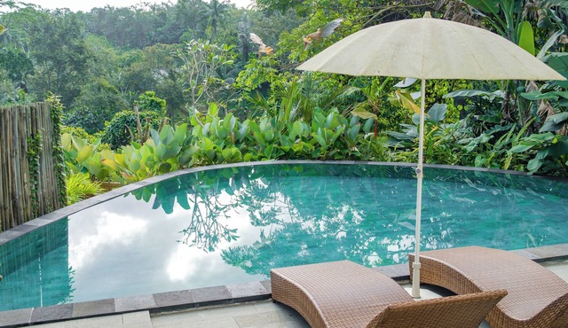 Jungle Villa Your Secluded Corner in the Jungle of Bali