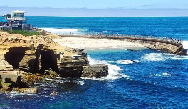 La Jolla Cove Oceanfront Condo