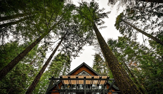 Lassen Creekside Cabin, 9 Miles to Park, Fire Pit, Level 2 EV Charger, Pets!