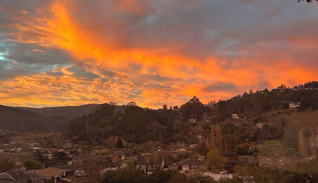 Mill Valley: 15 Mins to SF, 10 Mins to Muir Woods