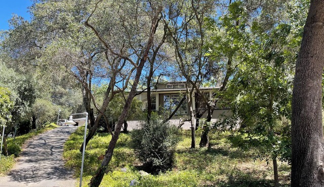Modern Architectural Sanctuary Tree House in Fair Oaks Village