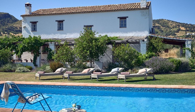 Modern interior, private villa with pool, Ronda 5km, organic olive grove.