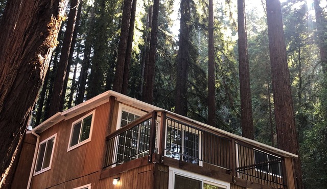 Mountain cabin w/king suite in the Redwoods of the Santa Cruz Mountains