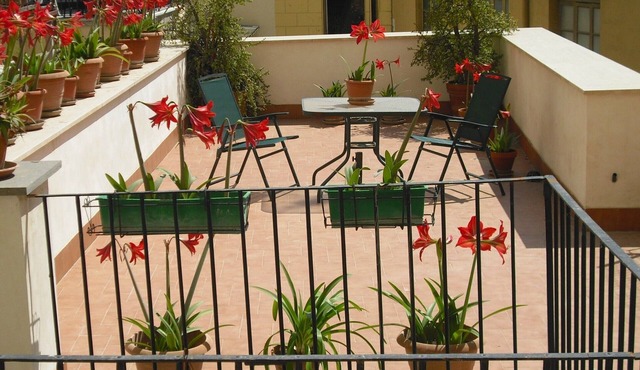 Nice apartment with a large terrace behind Piazza del Plebiscito