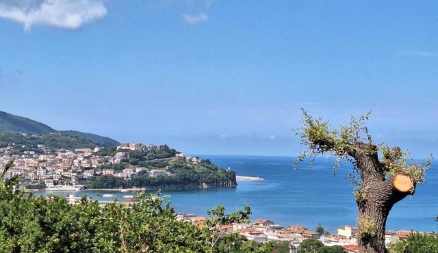 Panoramic apartment, sea view