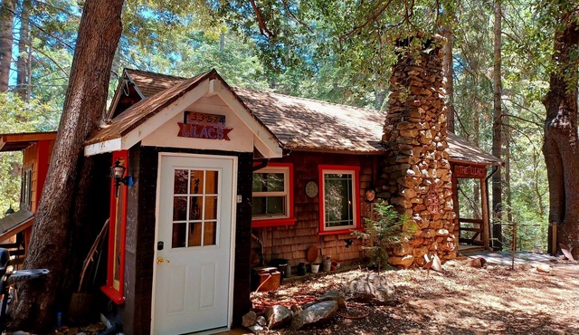 Peaceful 1920s Cozy Cabin snuggled in 100 ft Pines -Palomar Mt, Bailey Meadows