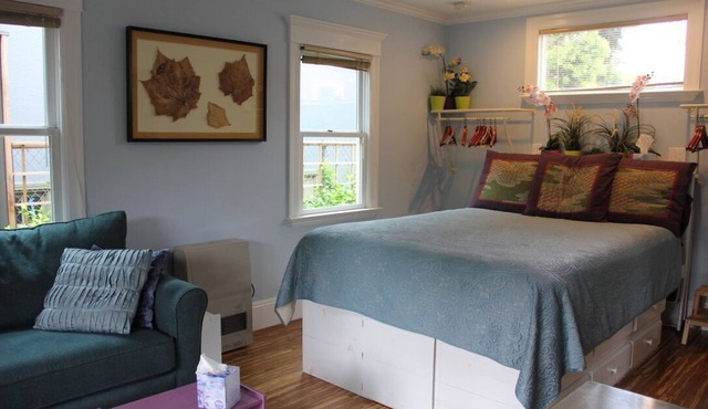 Peaceful backyard studio cottage. 5 min. to Ashby BART; free off street parking