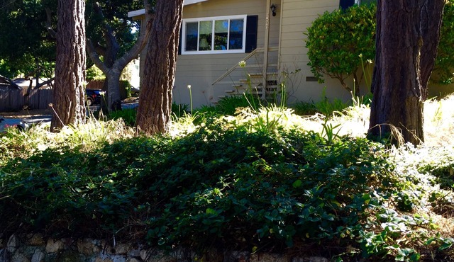 Perfect Carmel Retreat - Walk to Downtown
