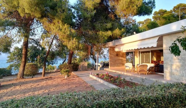 Pine tree beachfront villa in Drosia