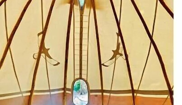Pinky's Nature Hideout and Retreat Hub