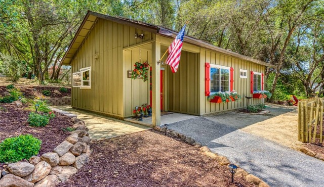 Quaint Adorable NEW Cabin nestled on three acres! Surrounded by Lush Nature!