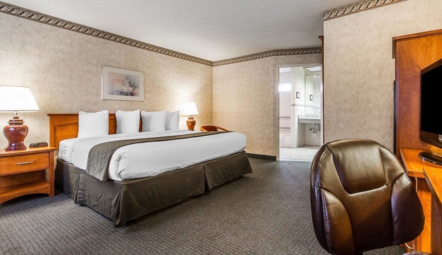 Quality Inn & Suites Silicon Valley