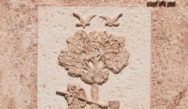 Quercus in Alberobello