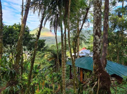 Rimba eco Resort