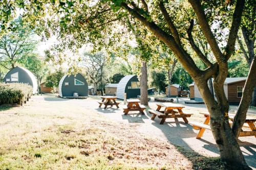 Sierra Meadows in Ahwahnee