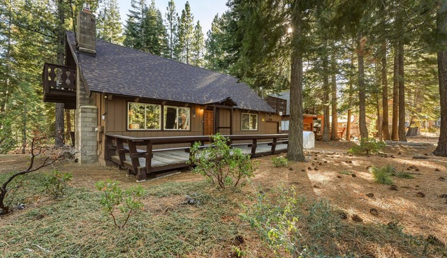 Skyline Divine | BBQ | Near Hiking | Pet Friendly